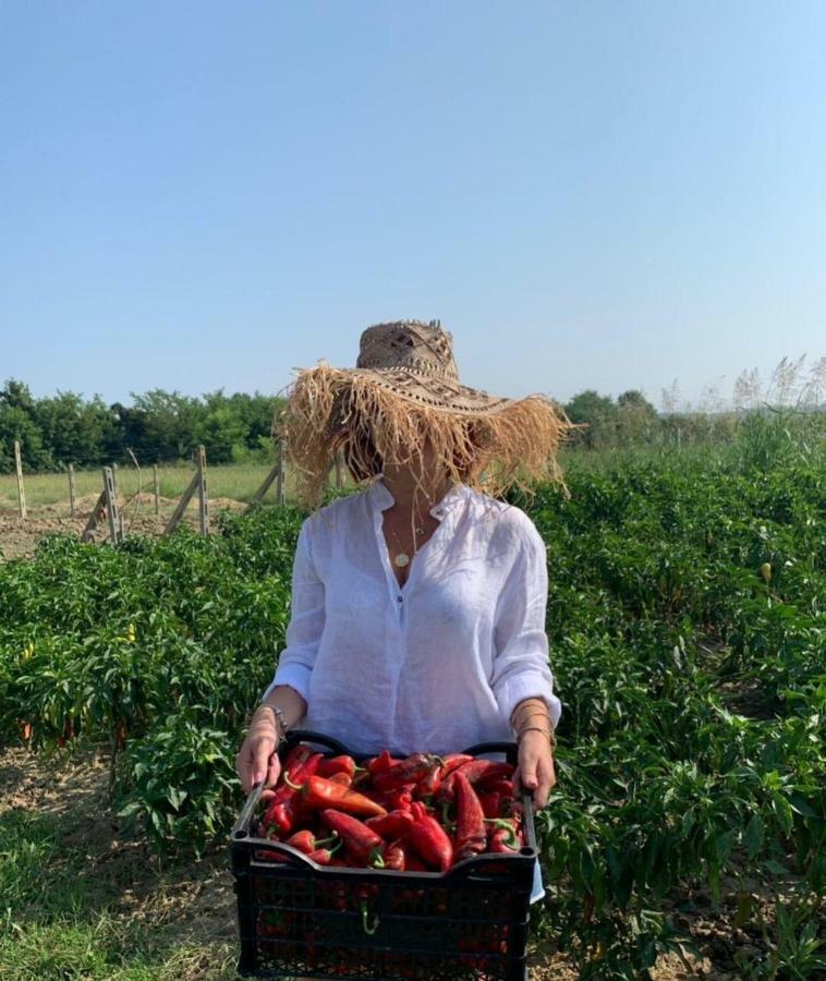Agroturizem Gjepali Hotell Shijak Exteriör bild